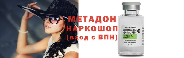 прущие грибы Арсеньев