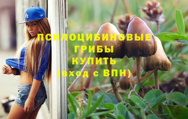 молекула духа Алзамай