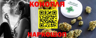 гидра Новодвинск
