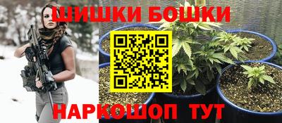гидра Новодвинск