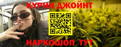 гидра Новодвинск