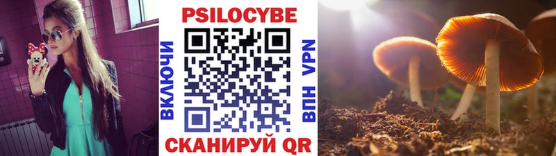 как найти   Лобня  Галлюциногенные грибы Cubensis 