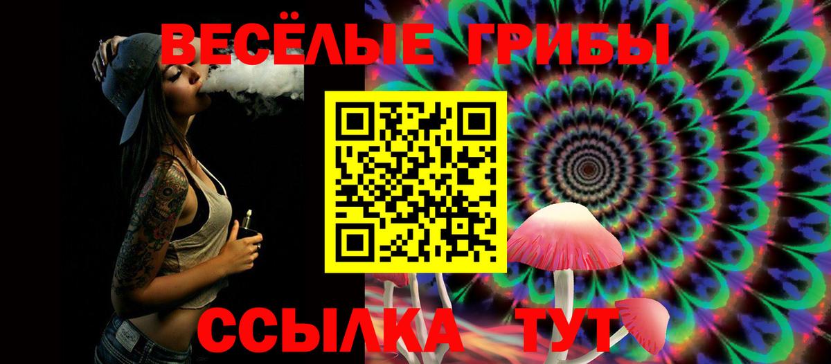 Псилоцибиновые грибы MAGIC MUSHROOMS  Вход с VPN  Лобня 